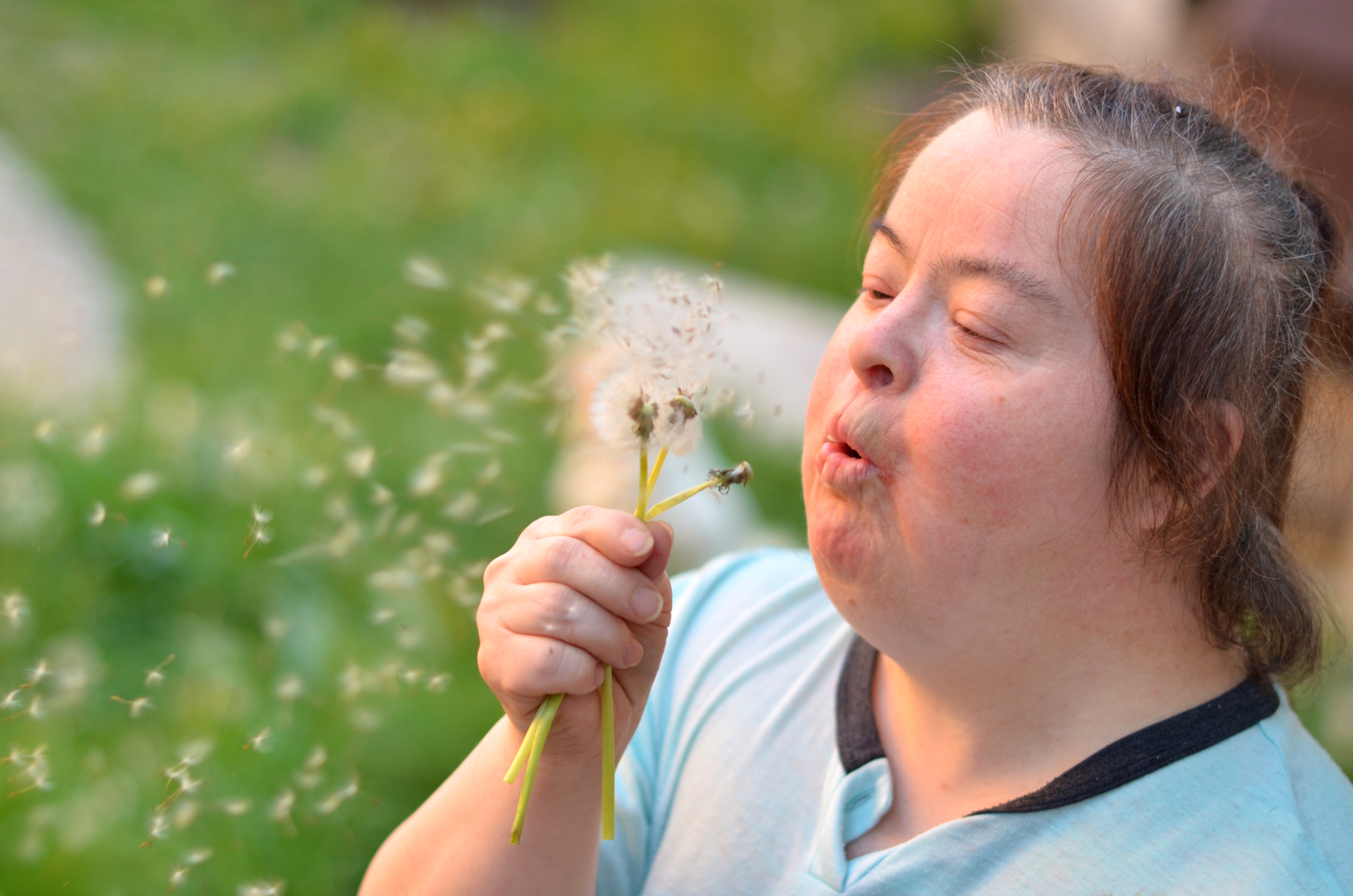 SEED-2 – Skala der Emotionalen Entwicklung – Diagnostik 2